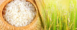 Nhận định thị trường nông sản thế giới ngày 14/8: Giá gạo Thái Lan giảm mạnh
