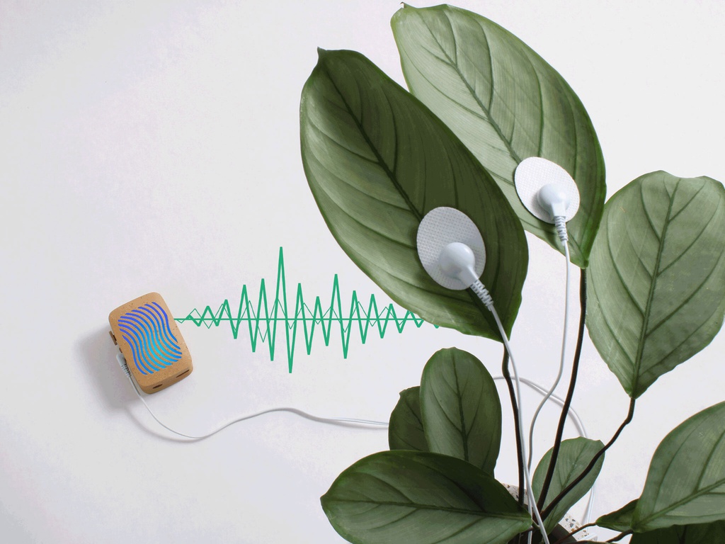 Công nghệ âm nhạc từ thực vật