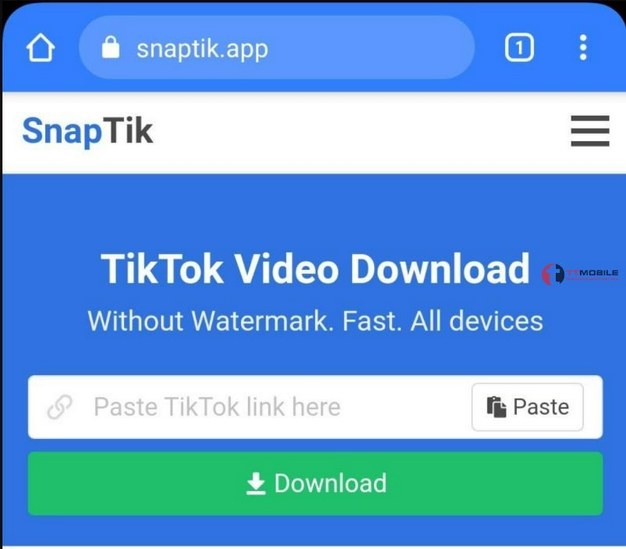 SnapTik App là công cụ hỗ trợ người dùng trong việc tải xuống các video từ nền tảng Tik Tok